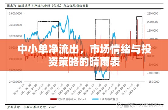 中小單凈流出，市場情緒與投資策略的晴雨表