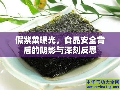 假紫菜曝光，食品安全背后的陰影與深刻反思