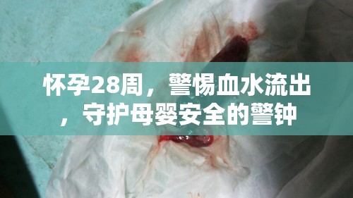 懷孕28周，警惕血水流出，守護(hù)母嬰安全的警鐘