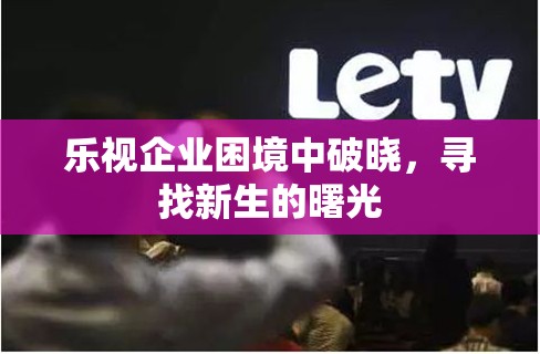 樂(lè)視企業(yè)困境中破曉，尋找新生的曙光