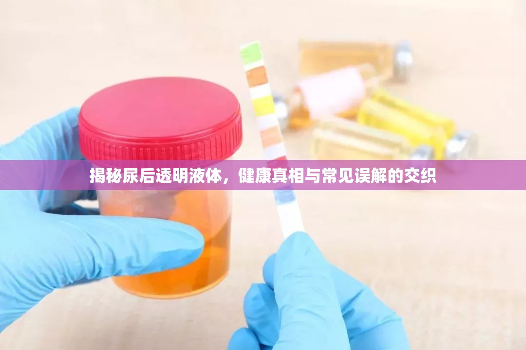 揭秘尿后透明液體，健康真相與常見誤解的交織