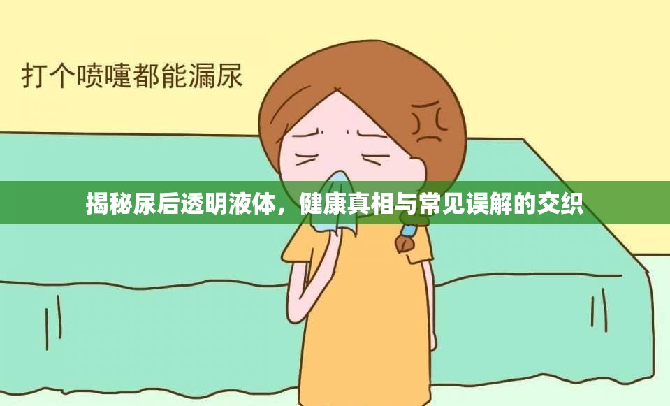 揭秘尿后透明液體，健康真相與常見誤解的交織