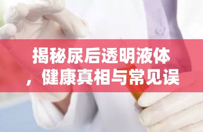 揭秘尿后透明液體，健康真相與常見誤解的交織