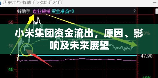 小米集團資金流出，原因、影響及未來展望