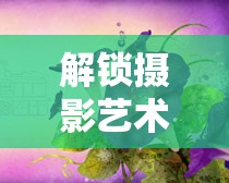 解鎖攝影藝術(shù)新境界，紫色曝光的神秘教程