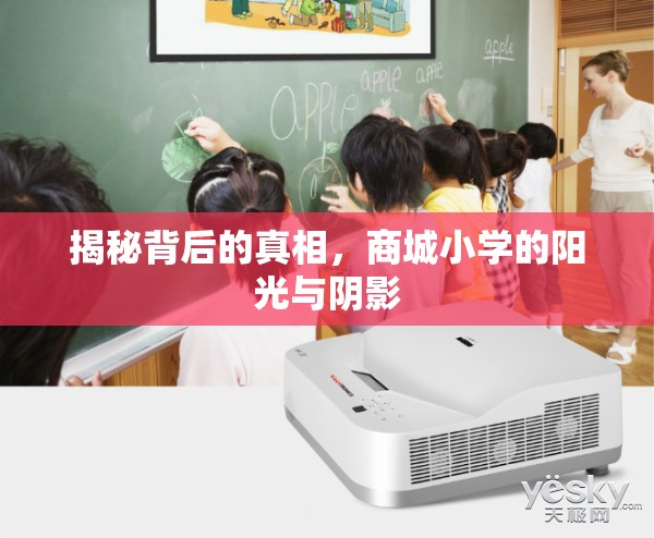 揭秘背后的真相，商城小學(xué)的陽光與陰影