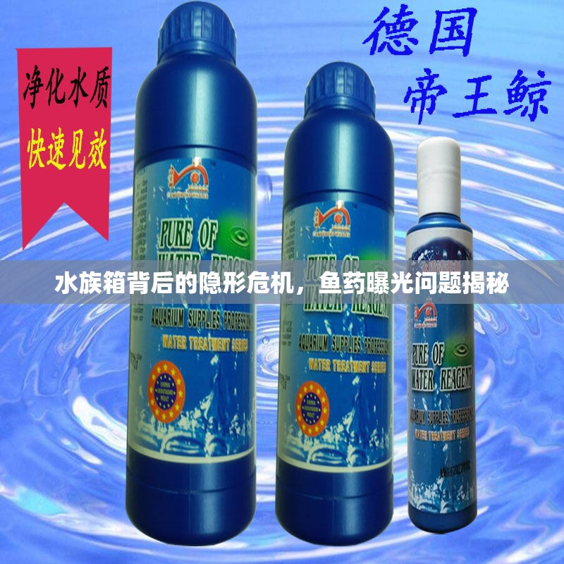 水族箱背后的隱形危機，魚藥曝光問題揭秘