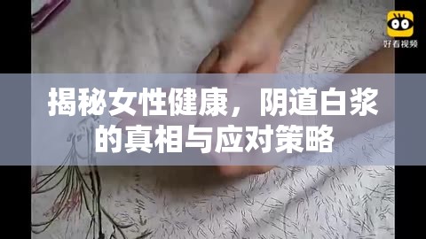 揭秘女性健康，陰道白漿的真相與應(yīng)對(duì)策略