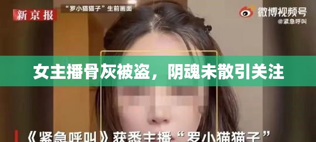 女主播骨灰被盜，陰魂未散引關注