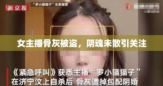 女主播骨灰被盜，陰魂未散引關注