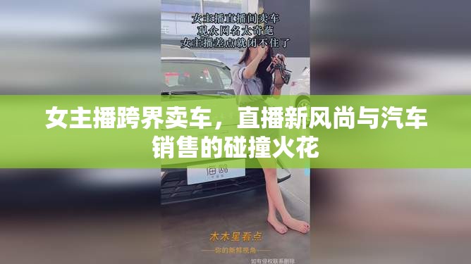 女主播跨界賣車，直播新風(fēng)尚與汽車銷售的碰撞火花