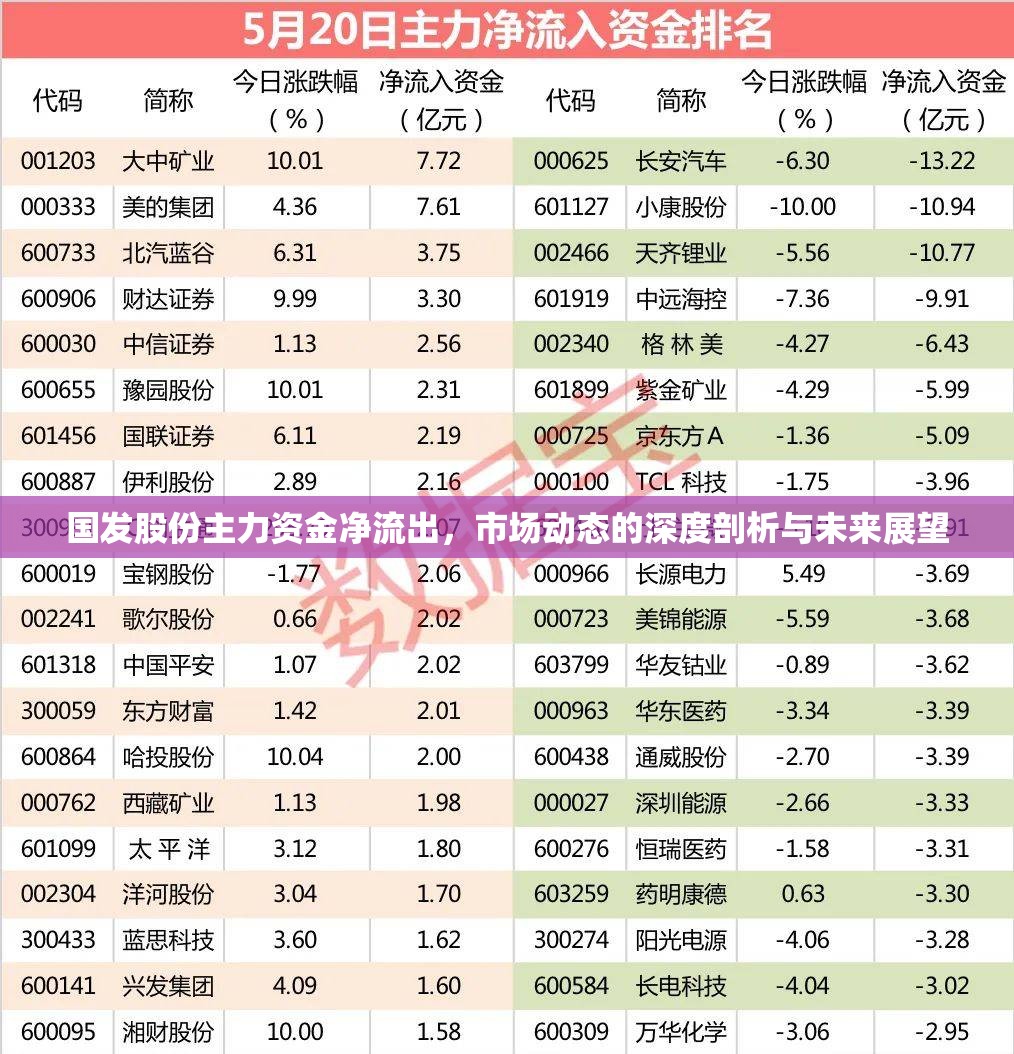 國發(fā)股份主力資金凈流出，市場動態(tài)的深度剖析與未來展望