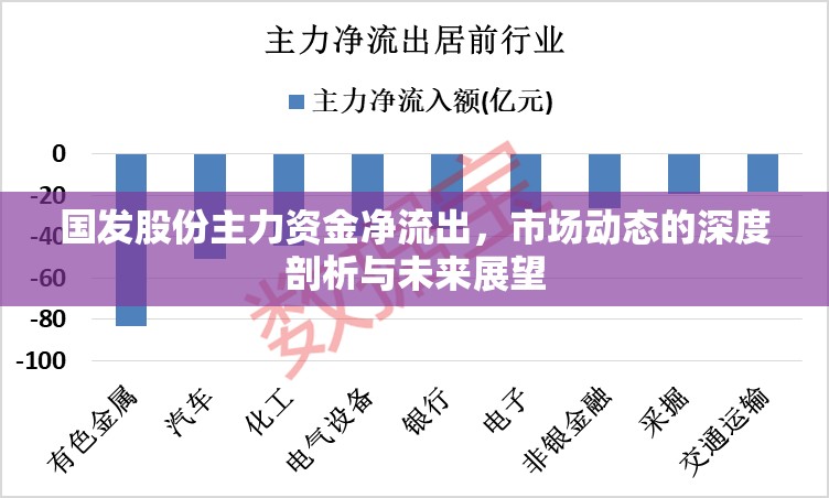 國發(fā)股份主力資金凈流出，市場動態(tài)的深度剖析與未來展望