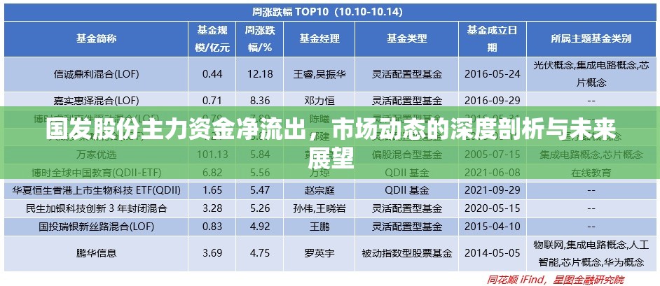 國發(fā)股份主力資金凈流出，市場動態(tài)的深度剖析與未來展望