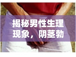 揭秘男性生理現(xiàn)象，陰莖勃起后為何會有粘液流出？