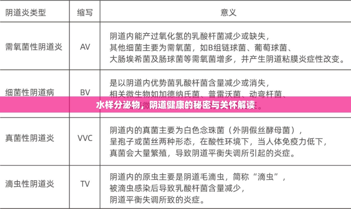 水樣分泌物，陰道健康的秘密與關(guān)懷解讀