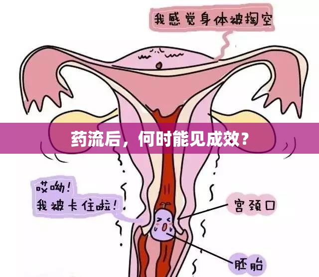 藥流后，何時能見成效？