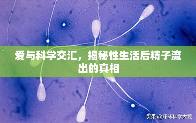 愛(ài)與科學(xué)交匯，揭秘性生活后精子流出的真相