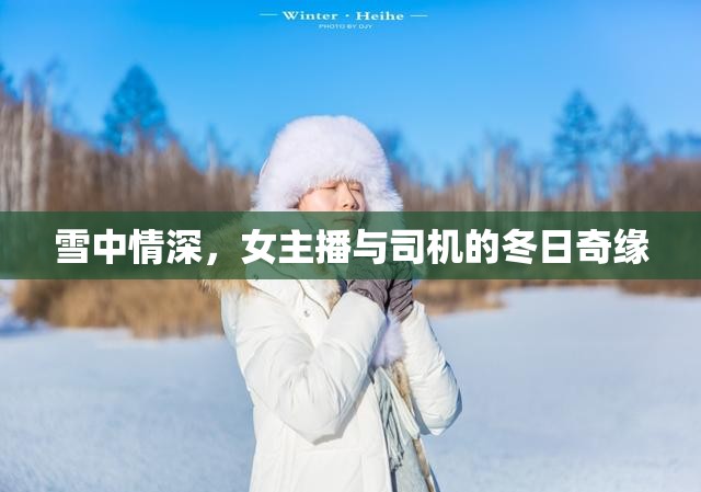 雪中情深，女主播與司機的冬日奇緣