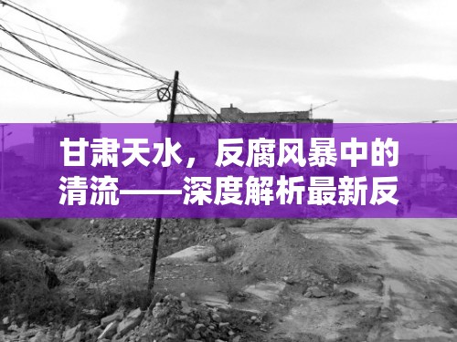 甘肅天水，反腐風暴中的清流——深度解析最新反貪行動