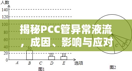 揭秘PCC管異常液流，成因、影響與應對策略