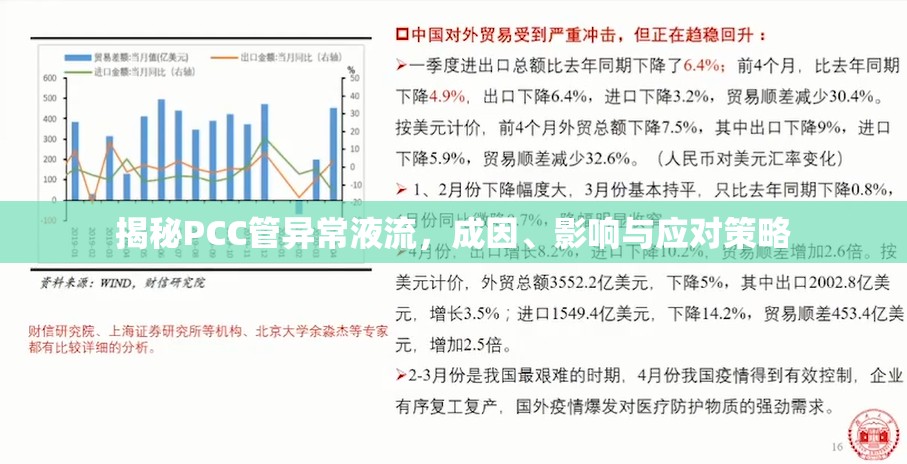 揭秘PCC管異常液流，成因、影響與應(yīng)對策略