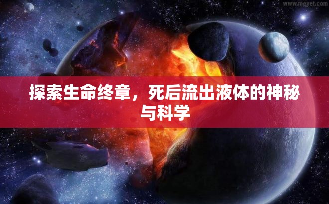 探索生命終章，死后流出液體的神秘與科學