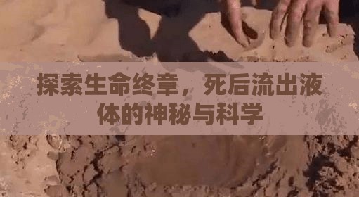 探索生命終章，死后流出液體的神秘與科學