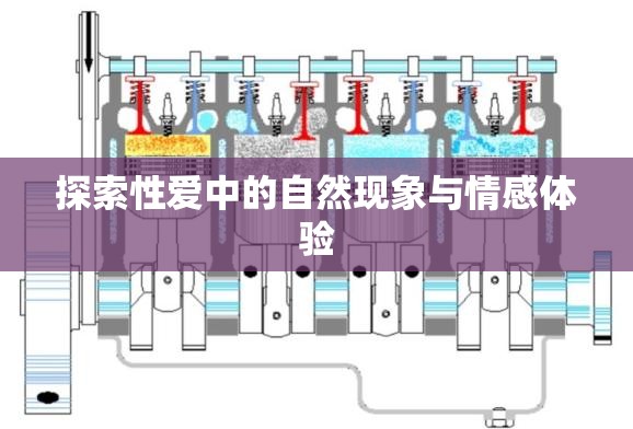 探索性愛中的自然現(xiàn)象與情感體驗