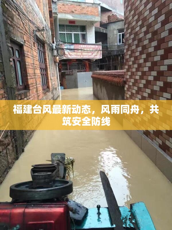 福建臺風(fēng)最新動態(tài)，風(fēng)雨同舟，共筑安全防線