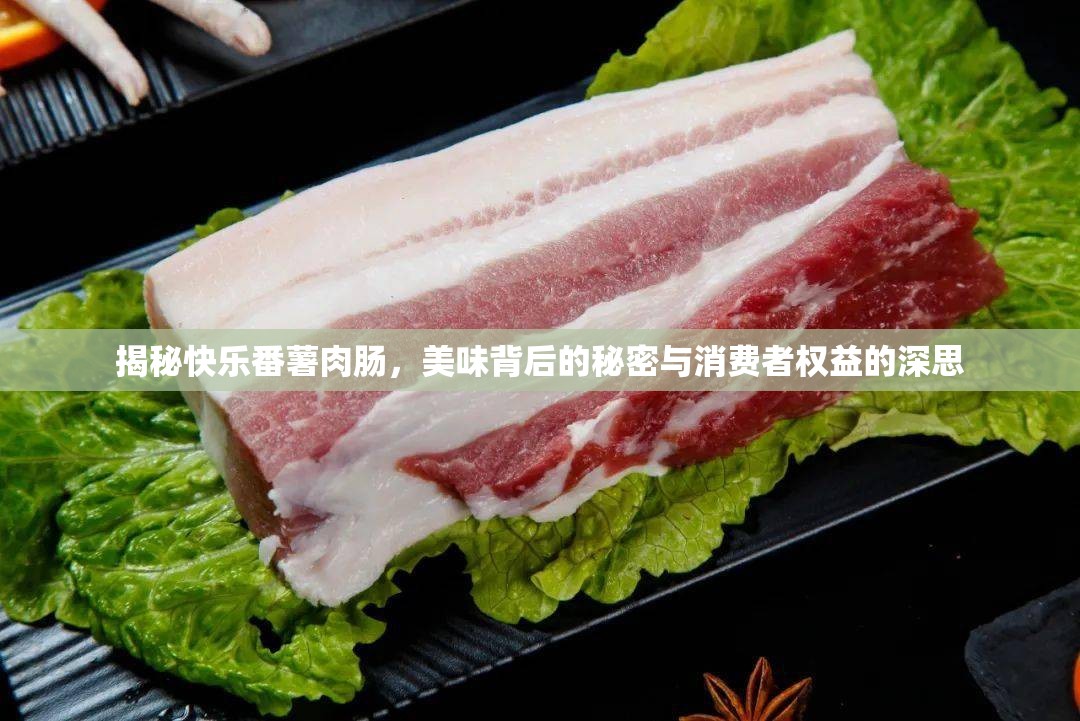 揭秘快樂番薯肉腸，美味背后的秘密與消費者權(quán)益的深思