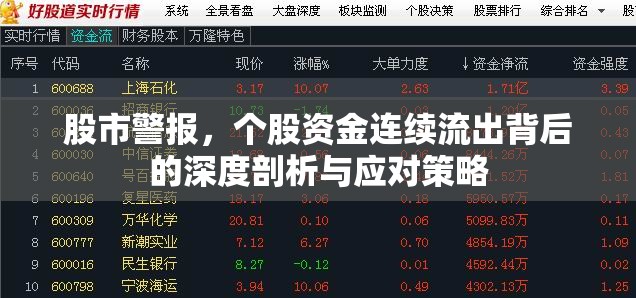 股市警報，個股資金連續(xù)流出背后的深度剖析與應(yīng)對策略