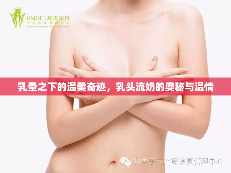 乳暈之下的溫柔奇跡，乳頭流奶的奧秘與溫情