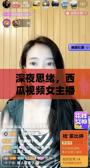 深夜思緒，西瓜視頻女主播與前任的屏幕間交錯(cuò)