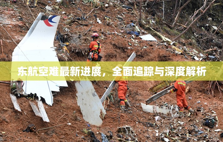 東航空難最新進展，全面追蹤與深度解析