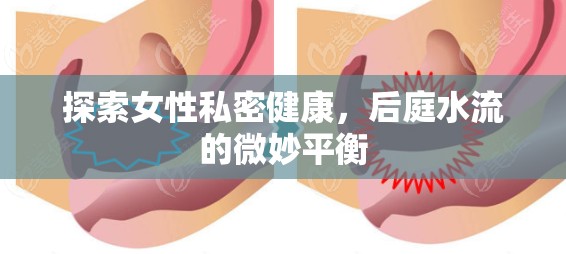 探索女性私密健康，后庭水流的微妙平衡