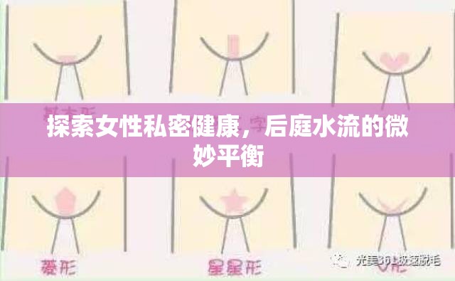 探索女性私密健康，后庭水流的微妙平衡