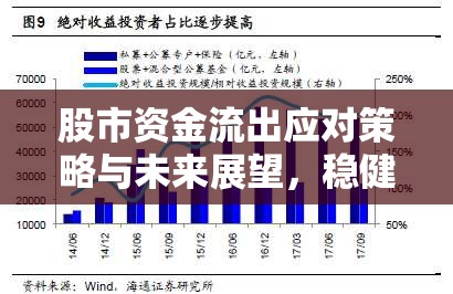 股市資金流出應(yīng)對策略與未來展望，穩(wěn)健應(yīng)對市場波動