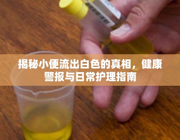 揭秘小便流出白色的真相，健康警報與日常護理指南