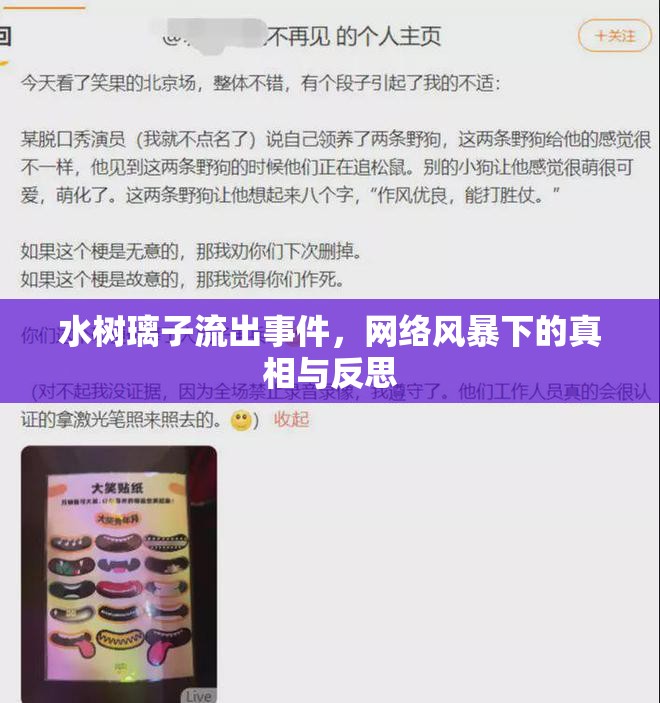 水樹璃子流出事件，網(wǎng)絡風暴下的真相與反思