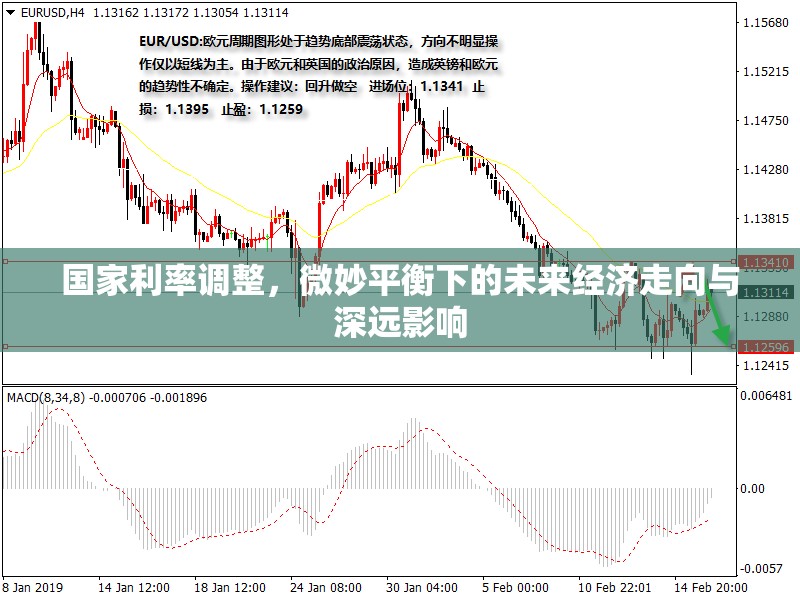 國家利率調(diào)整，微妙平衡下的未來經(jīng)濟走向與深遠影響