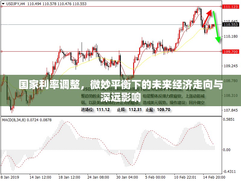 國家利率調(diào)整，微妙平衡下的未來經(jīng)濟走向與深遠影響