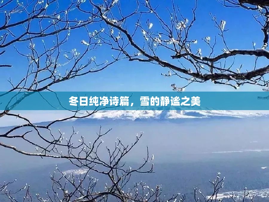 冬日純凈詩篇，雪的靜謐之美