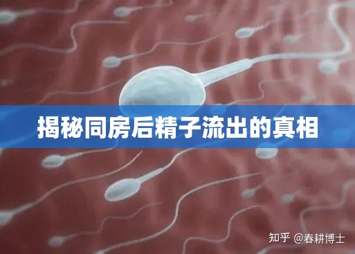 揭秘同房后精子流出的真相