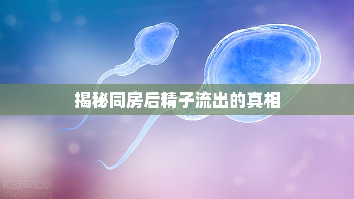 揭秘同房后精子流出的真相