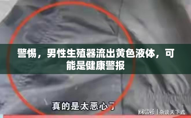 警惕，男性生殖器流出黃色液體，可能是健康警報