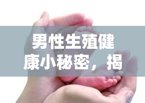 男性生殖健康小秘密，揭秘?zé)o色無味液體的真相