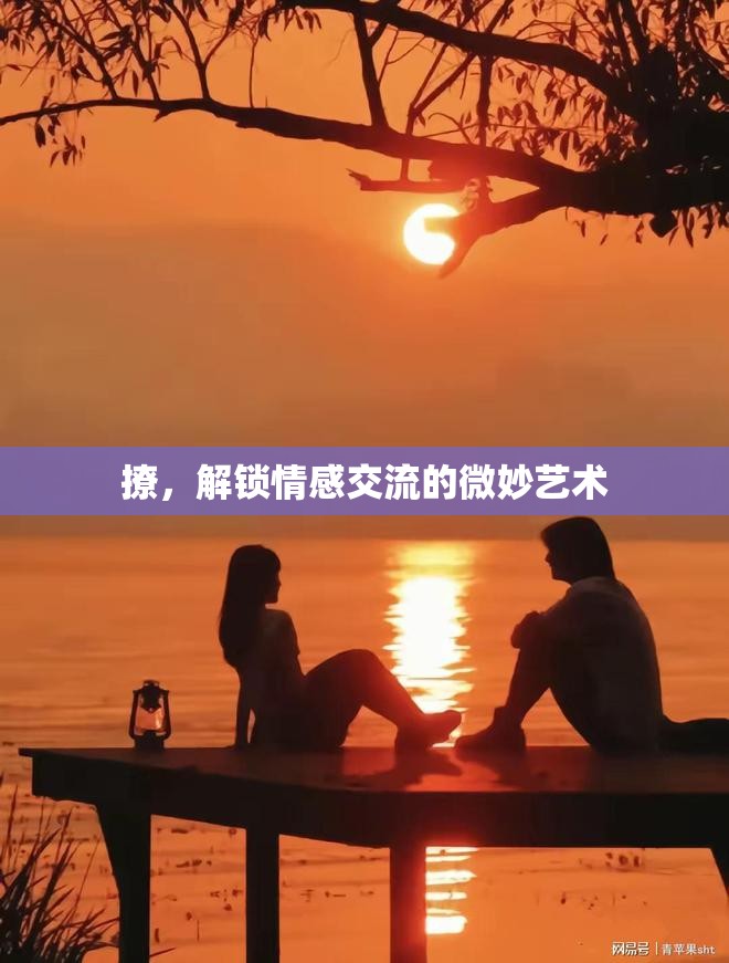 撩，解鎖情感交流的微妙藝術(shù)