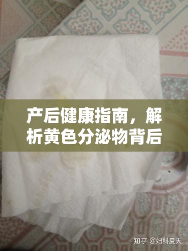 產(chǎn)后健康指南，解析黃色分泌物背后的秘密