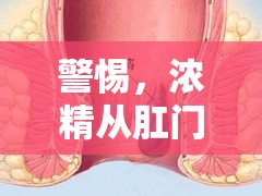 警惕，濃精從肛門(mén)流出，可能是健康問(wèn)題的信號(hào)